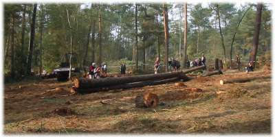 Le bcheronnage : couper les plus gros arbres  la trononneuse et les dplacer jusqu'au dpt grce  une grosse machine qui les trane au sol.